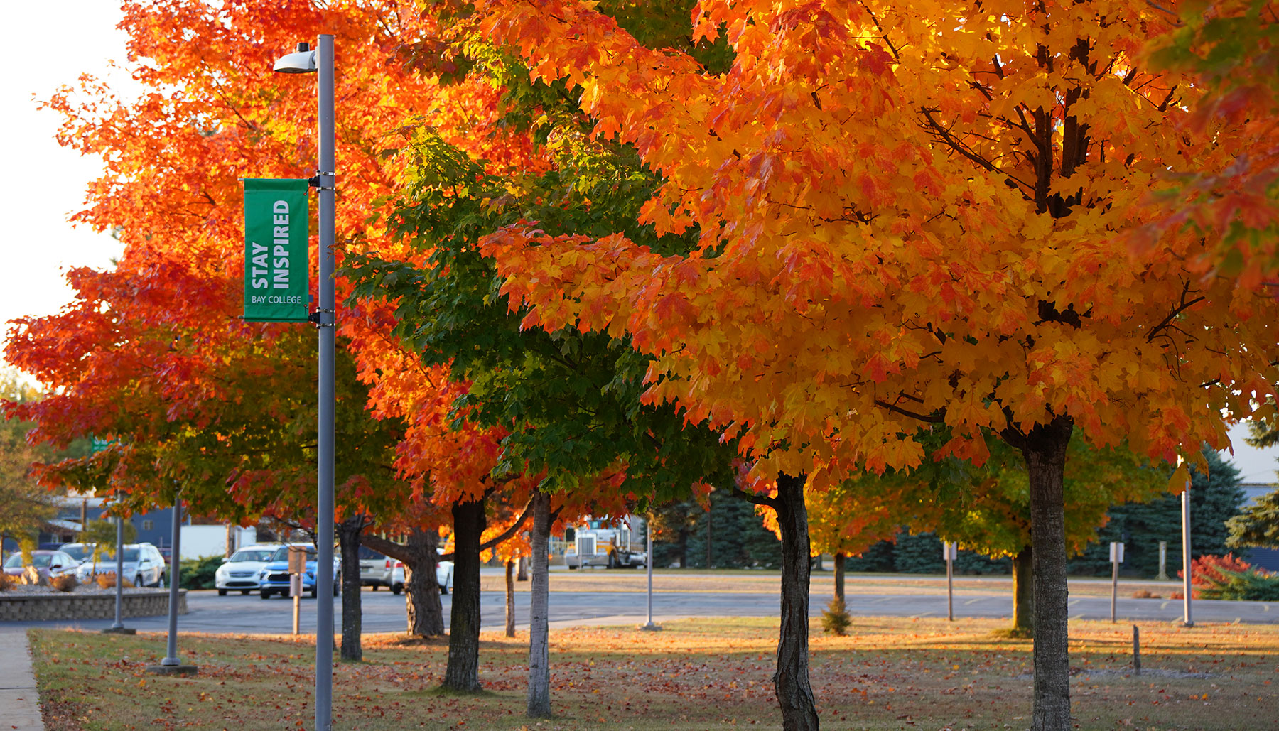 Bay College campus
