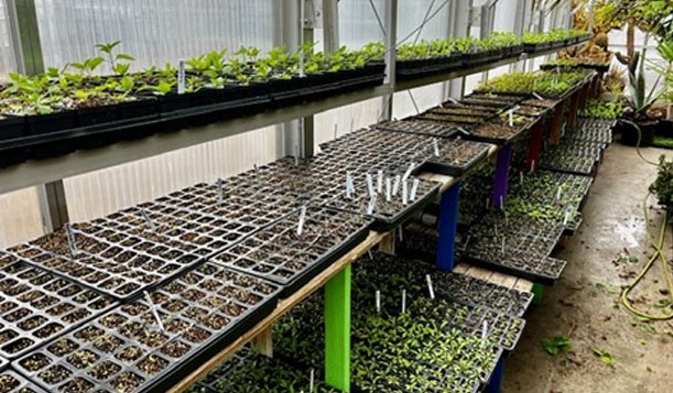 Bay College Greenhouse.