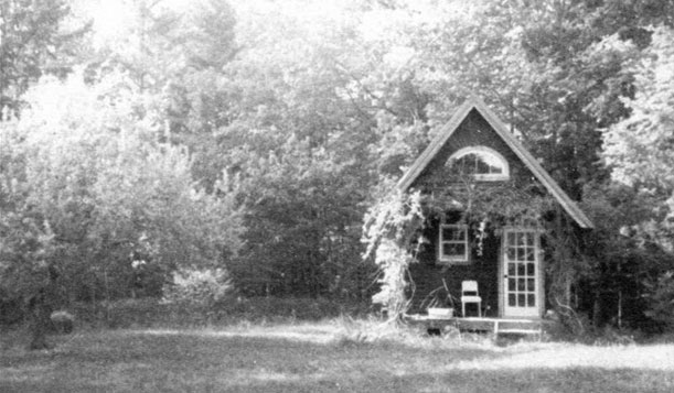 Cabin in the woods