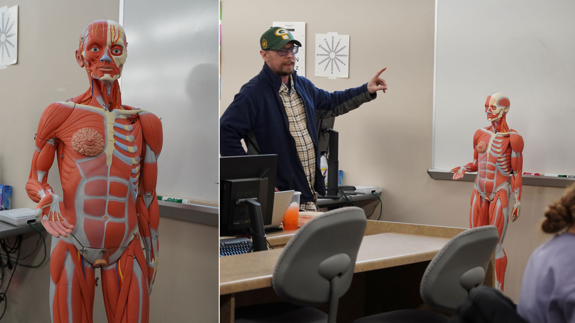 A split screen showing the donated muscular anatomy model on the left and Math/Science faculty member Marc Morency on the right, using the donor-funded muscular anatomy model to teach in his class.